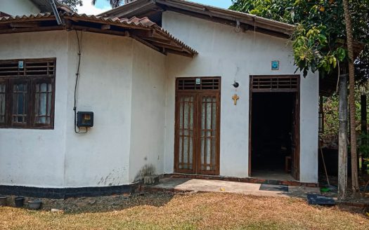 House with Shop for sale in Kandana