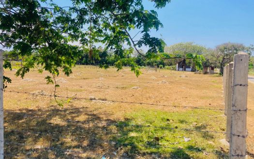 Field land for sale in Tunnalai.