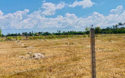 Field land for sale in Tunnalai.