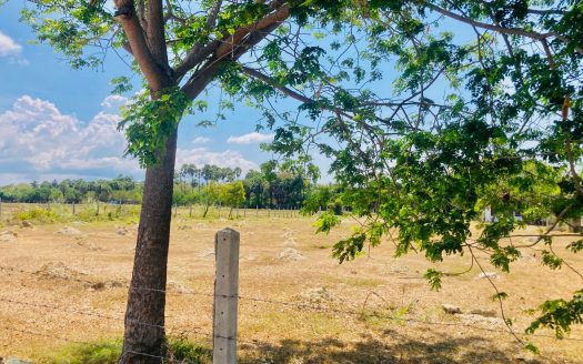 Field land for sale in Tunnalai.