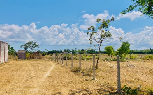 Field land for sale in Tunnalai.