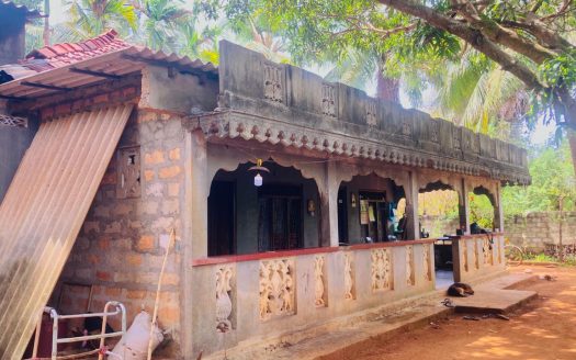 House for sale in Alaveddy North