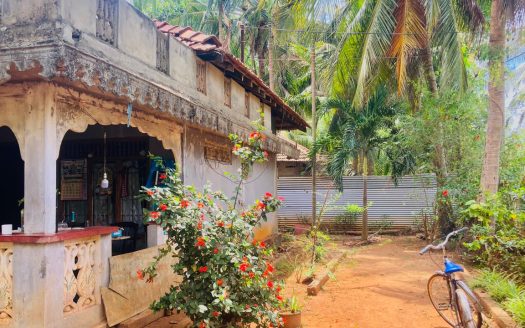 House for sale in Alaveddy North