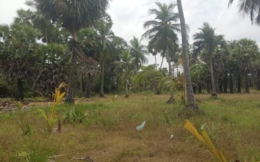 Land for sale in Kodikamam.