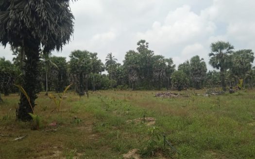 Land for sale in Kodikamam.
