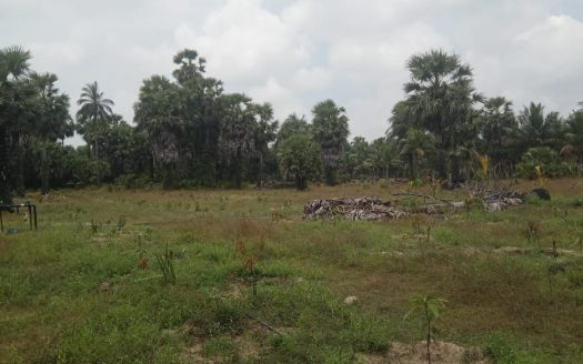 Land for sale in Kodikamam.