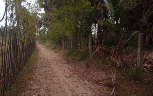 Land for sale in Kodikamam.