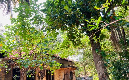 Land with old house for sale in Urumpirai Vagaiyadi