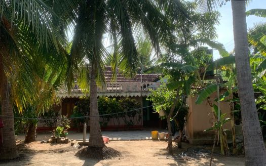 Land with house for sale in Araly.