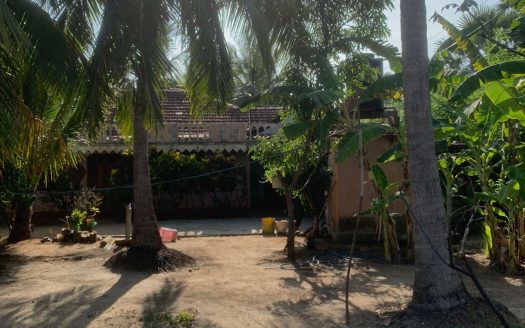 Land with house for sale in Araly.