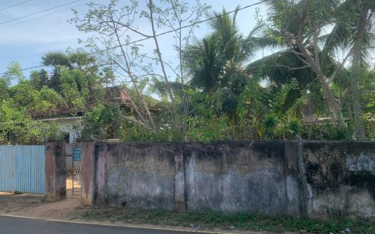 Land with house for sale in Araly.