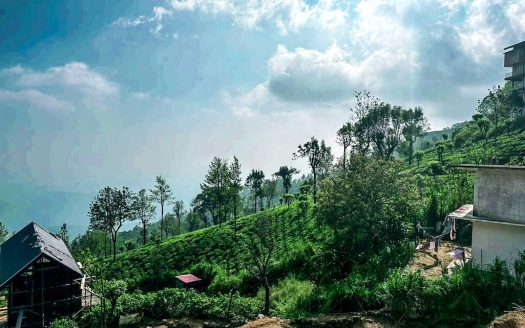 Land for sale in Haputale near Edison Bungalow.