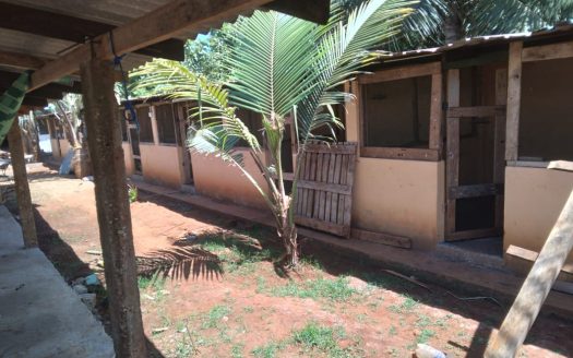 Farm land for sale 50 meters from Nilavarai junction. 👇