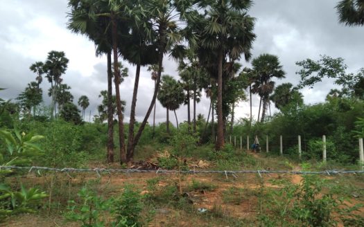 Land for sale in Varuththalavilaan.