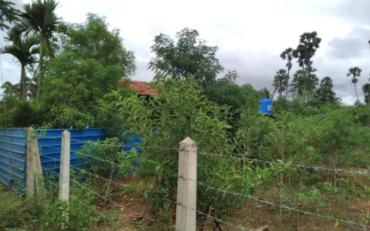Land for sale in Varuththalavilaan.