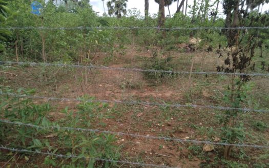 Land for sale in Varuththalavilaan.