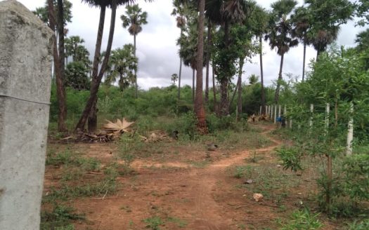 Land for sale in Varuththalavilaan.