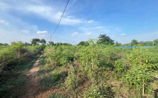 Land for sale in Navatkuli