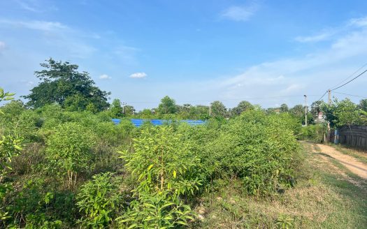 Land for sale in Navatkuli