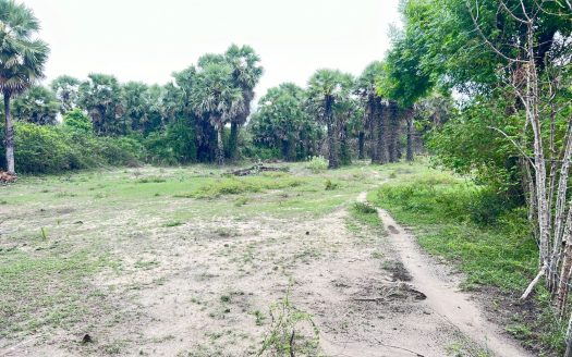 Land for sale in Thanankilappu