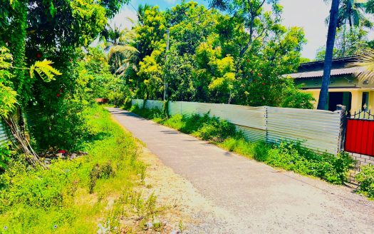 Land for sale in Manipay