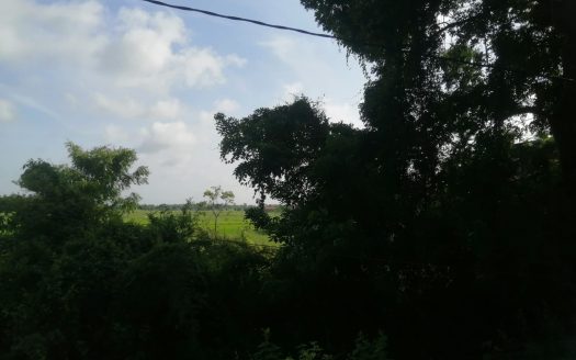 Land for sale in Kilinochchi Karadippokku.