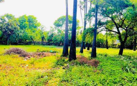 Land for sale in Vattukkottai (2nd land from Ponnalai Road, Vattukkottai)
