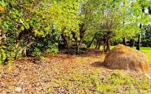 Land for sale in Vattukkottai (2nd land from Ponnalai Road, Vattukkottai)