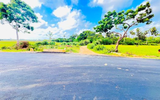 Land for sale in Vattukkottai (2nd land from Ponnalai Road, Vattukkottai)