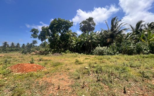 Land for sale in Kaithady
