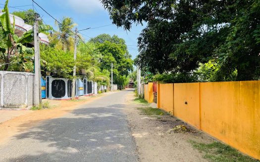 Land with old house for sale in Nallur