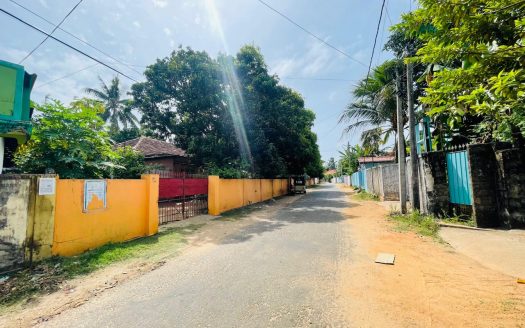 Land with old house for sale in Nallur