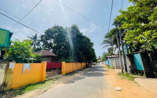 Land with old house for sale in Nallur