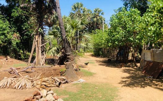 Land for sale in Veerapathira Temple, Udupiddy