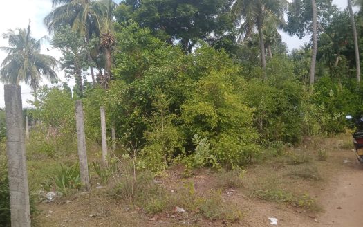 Land for sale in Manipay
