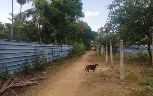 Land for sale in Manipay