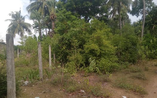 Land for sale in Manipay