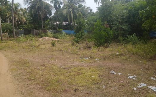 Land for sale in Manipay