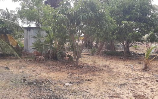 house with land for sale in Iyakkachchi