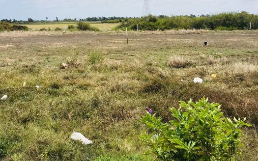 Road side land for sale in Meesalai, Puttur road