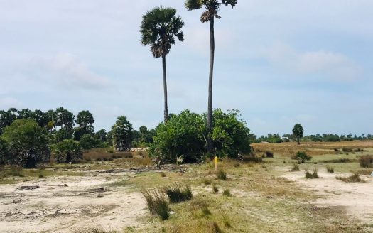 Land for sale in Navatkuli