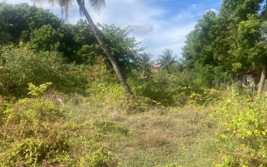 Land for sale in Ariyalai