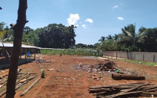 Land for sale in Ariyalai