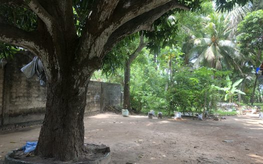 Land with old house for sale in Kopay