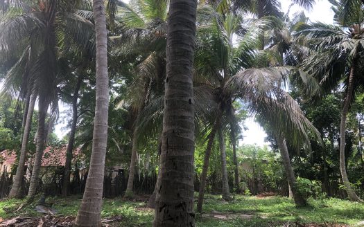 Land with old house for sale in Kopay