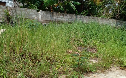 Land for sale in Kerawalapitiya, Wattala