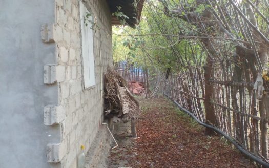 Land with house for sale in Analaithivu
