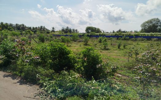 Land for sale in Urelu