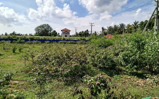 Land for sale in Urelu