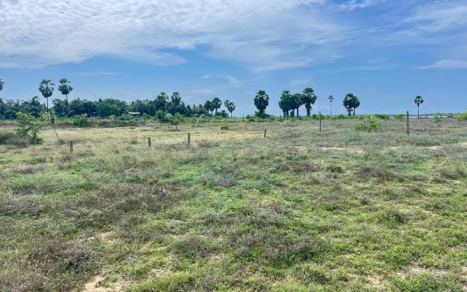 Land for sale in Navatkuli.